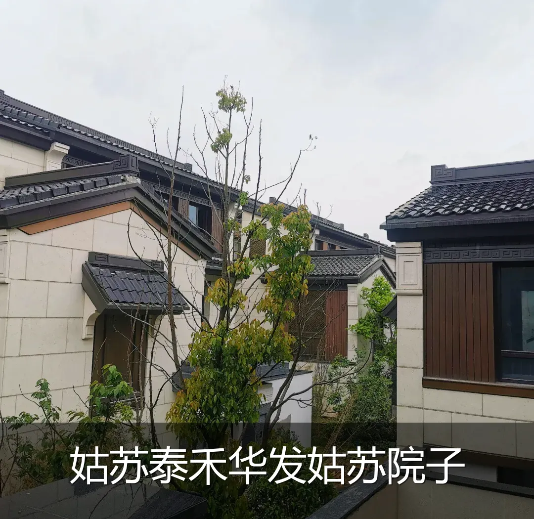 姑苏泰禾华发姑苏院子