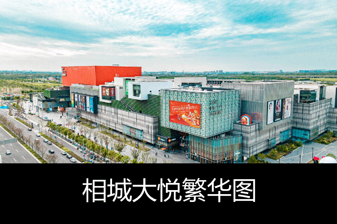 相城大悦繁华图